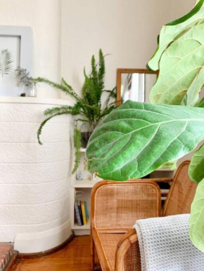 Comfortable Studio Gem in the heart of Petersham